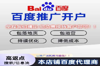 百度竞价广告的投放策略与成功案例分析